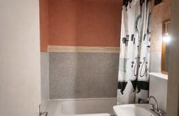 Apartament ideal pentru renovare, vedere la Bega, 2 camere