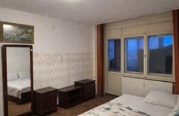 Apartament ideal pentru renovare, vedere la Bega, 2 camere