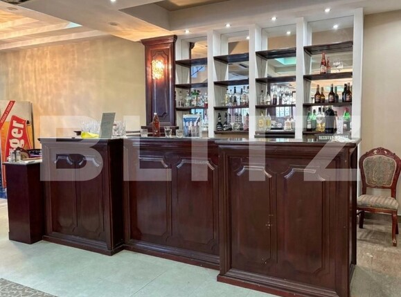 Spațiu comercial de închiriat Lugojului - 189998SIC | BLITZ Timișoara | Poza3