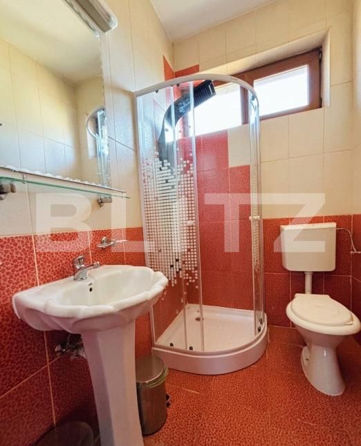 Spațiu comercial de închiriat Lugojului - 189998SIC | BLITZ Timișoara | Poza7