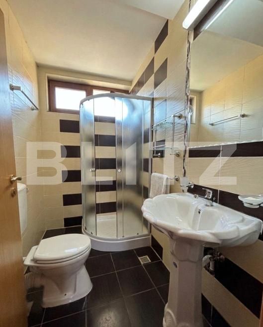 Spațiu comercial de închiriat Lugojului - 189998SIC | BLITZ Timișoara | Poza9