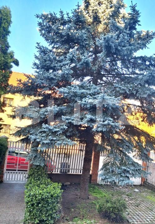 Casa de vânzare 14 camere Soarelui - 190066CV | BLITZ Timișoara | Poza5