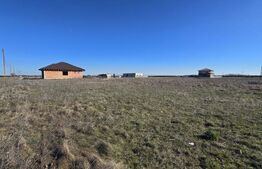 Teren de vânzare Sacalaz - 184687TV | BLITZ Timișoara | Poza1