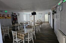 Azil de batrani complet echipat de vanzare - la 40 km de Timisoara