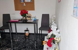 Azil de batrani complet echipat de vanzare - la 40 km de Timisoara