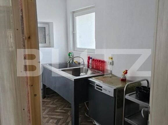 Casa de vânzare 30 camere Exterior Nord - 190095CV | BLITZ Timișoara | Poza3