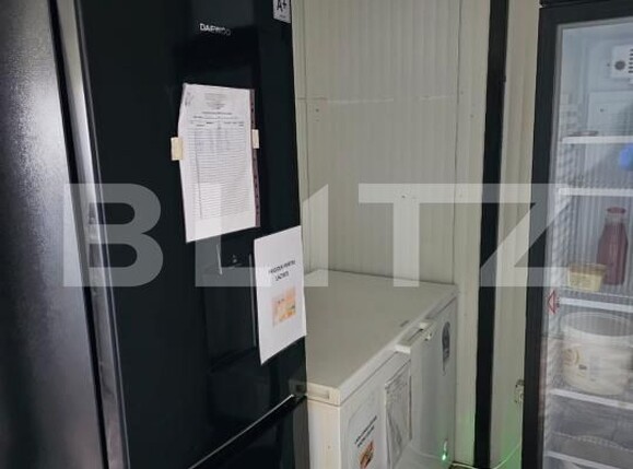 Casa de vânzare 30 camere Exterior Nord - 190095CV | BLITZ Timișoara | Poza4