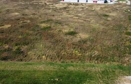 Teren intravilan Remetea Mare