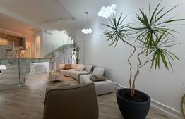 Vilă exclusivistă | 300 mp | Rooftop 140 mp | Curte 743 mp | Lângă Moșnița City 