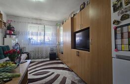 Garsoniera 22 mp, mobilata, utilata, zona Blascovici