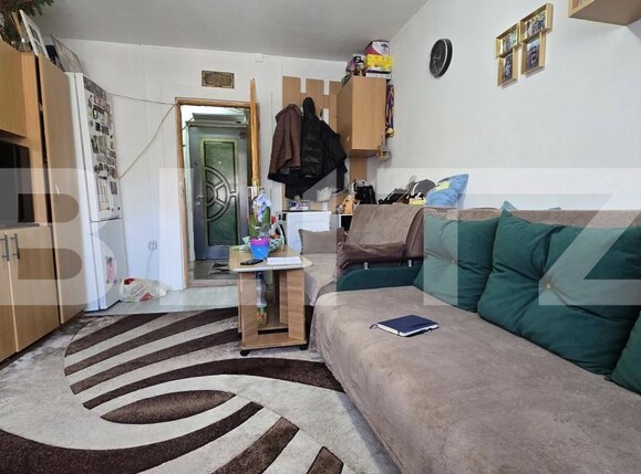 Garsonieră de vânzare Blascovici - 190354AV | BLITZ Timișoara | Poza3