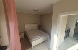 Casa Dumbravita  5 camere