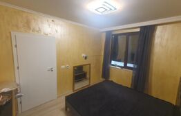 Casa Dumbravita  5 camere