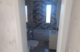 Casa Dumbravita  5 camere