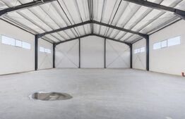 Hală industrială, 390 mp, zona Giarmata