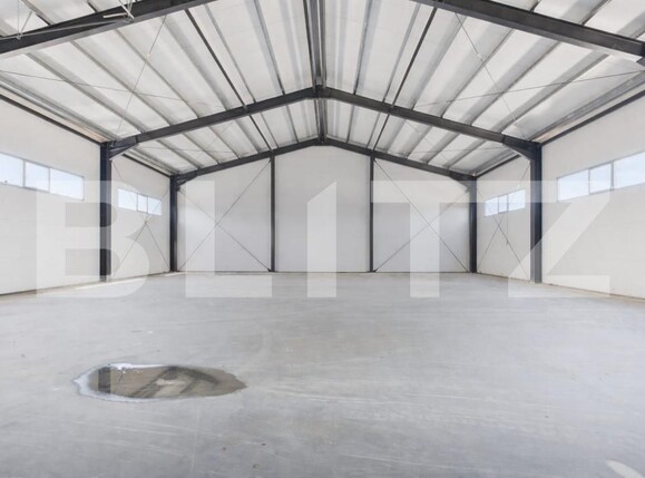 Spațiu industrial de închiriat Giarmata - 190506SII | BLITZ Timișoara | Poza1