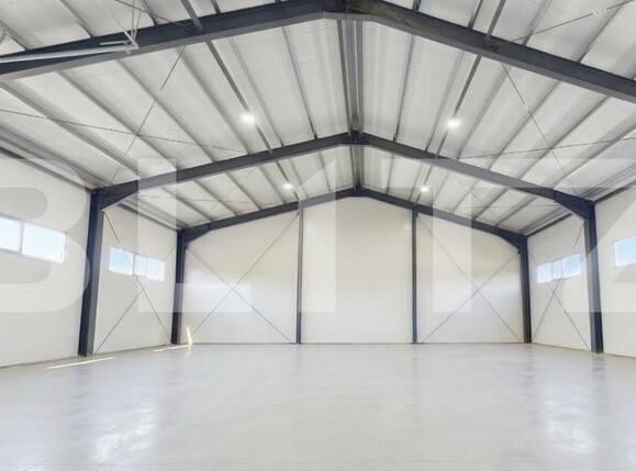 Spațiu industrial de închiriat Giarmata - 190532SII | BLITZ Timișoara | Poza1