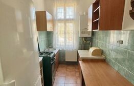 Casă cu arhitectură elegantă și pod înalt, la 15 minute pietonal de Piața Unirii