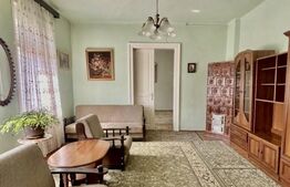 Casă cu arhitectură elegantă și pod înalt, la 15 minute pietonal de Piața Unirii