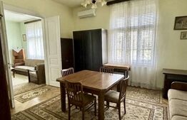 Casă cu arhitectură elegantă și pod înalt, la 15 minute pietonal de Piața Unirii