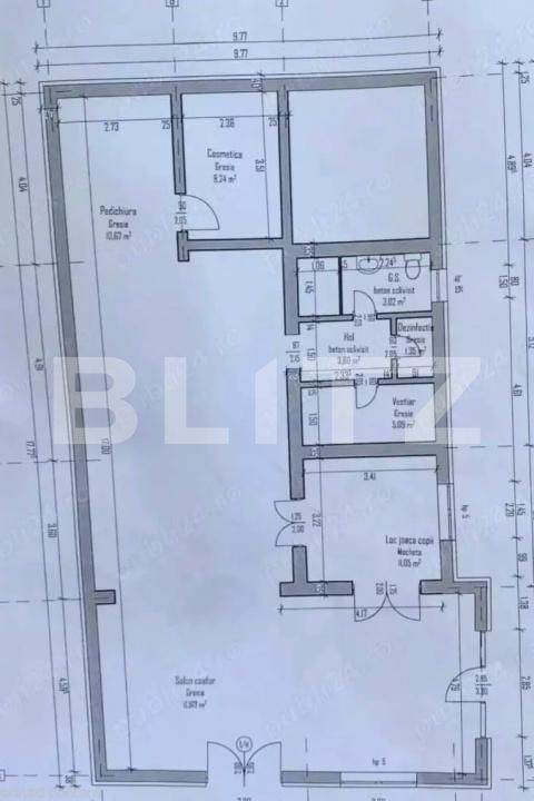 Spațiu comercial de închiriat Ghiroda - 190595SIC | BLITZ Timișoara | Poza9