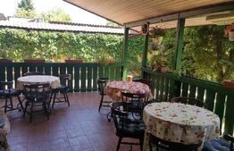 Pensiune de vanzare, 450 mp, zona Dorobantilor 