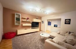 Apartament 3 camere, 73 mp, zona Dambovita