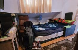 Garsoniera de vanzare, 23 mp, zona Calea Lipovei