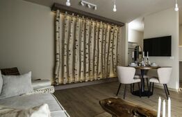 Apartament de inchiriat, 55 mp, zona Lipovei 