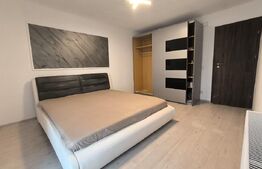 Casa tip duplex 5 camere Dumbravita 