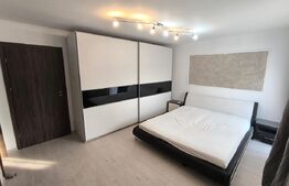 Casa tip duplex 5 camere Dumbravita 