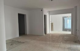 Spatiu comercial, 333 mp, zona Complexul Studentesc 