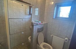 Vila Remetea Mare 380mp utili, 3982 mp teren