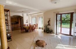 Vilă exclusivistă pe malul Begăi | 380 mp utili, 3.982 mp parc privat și ponton 