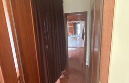 Vila Remetea Mare 380mp utili, 3982 mp teren