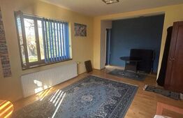 Vila Remetea Mare 380mp utili, 3982 mp teren