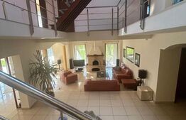 Vila Remetea Mare 380mp utili, 3982 mp teren