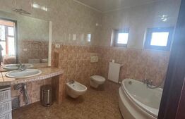 Vila Remetea Mare 380mp utili, 3982 mp teren