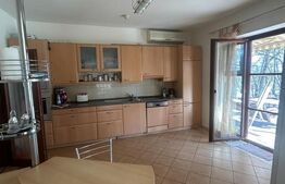 Vila Remetea Mare 380mp utili, 3982 mp teren