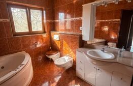 Vilă exclusivistă pe malul Begăi | 380 mp utili, 3.982 mp parc privat și ponton 