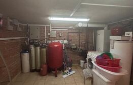 Vila Remetea Mare 380mp utili, 3982 mp teren