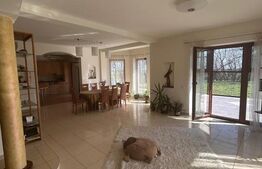 Vila Remetea Mare 380mp utili, 3982 mp teren