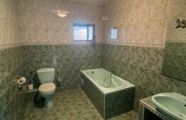 Vilă exclusivistă pe malul Begăi | 380 mp utili, 3.982 mp parc privat și ponton 