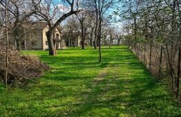 Vilă exclusivistă pe malul Begăi | 380 mp utili, 3.982 mp parc privat și ponton 
