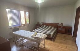 Vila Remetea Mare 380mp utili, 3982 mp teren