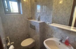 Vila Remetea Mare 380mp utili, 3982 mp teren