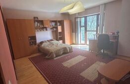 Vila Remetea Mare 380mp utili, 3982 mp teren