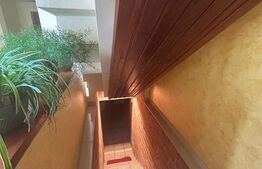 Vila Remetea Mare 380mp utili, 3982 mp teren