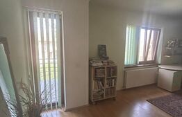 Vila Remetea Mare 380mp utili, 3982 mp teren