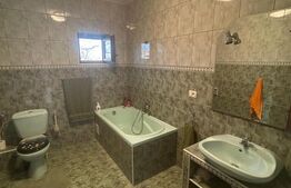 Vila Remetea Mare 380mp utili, 3982 mp teren